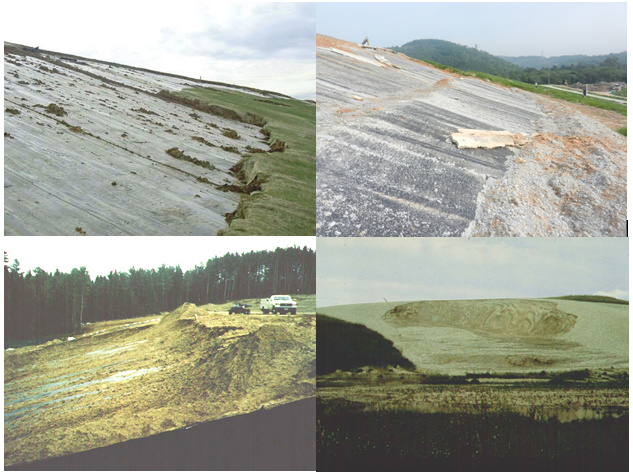 1591611475611972.jpg b8724c56gx6CwdR19Ix95&690.jpg